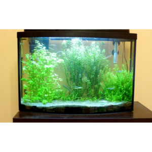 OŚWIETLENIE AKWARIUM WODOODPORNE LED 30cm białe