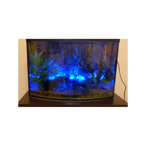 OŚWIETLENIE AKWARIUM LED 30cm niebieskie WODOODPORNE