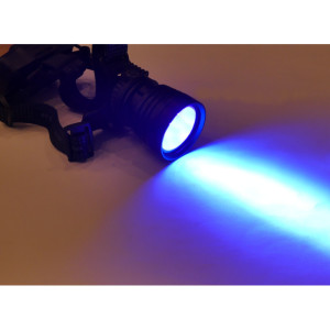 Latarka czołowa UV POWER LED XHP ZOOM 3xLi-ion do bursztynu