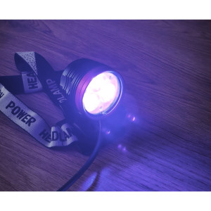 Lampa latarka czołowa UV 25W LED  Zestaw do poszukiwania bursztynu