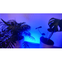 Oświetlenia LED podwodne